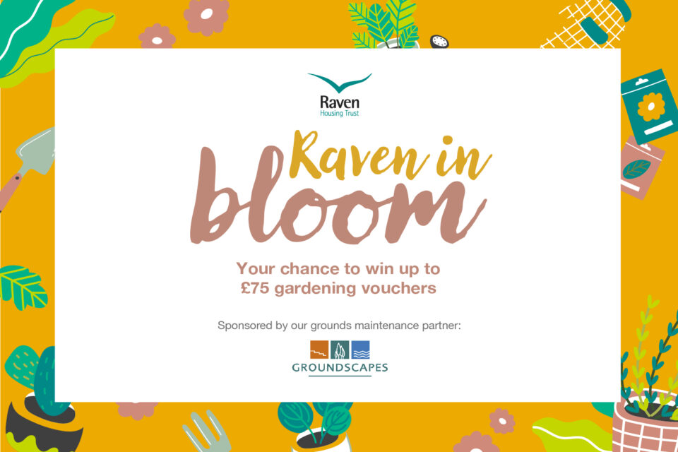 Raven in Bloom - 2024 gardening competition