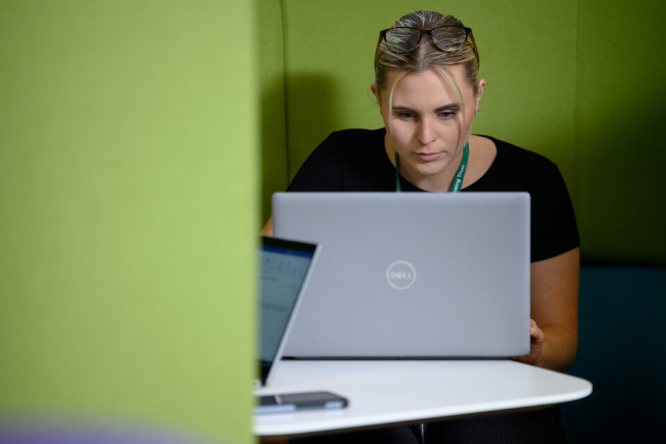 Raven colleague in office